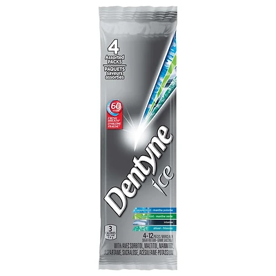 Dentyne Ice Assorted Sugar Free Gum, 4 Pack (12 pieces per pack)