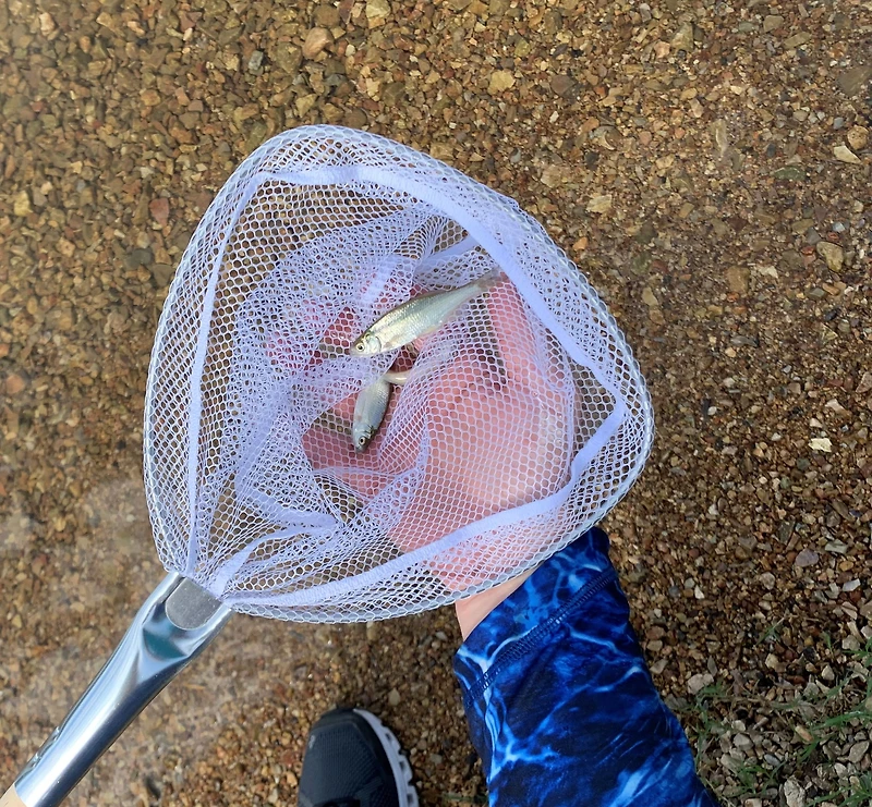 Filet de pêche à manche en bois Baitwell Frabill 3049 de Plano Molding Cerceau de 9 x 8 po en forme de D avec poignée fixe