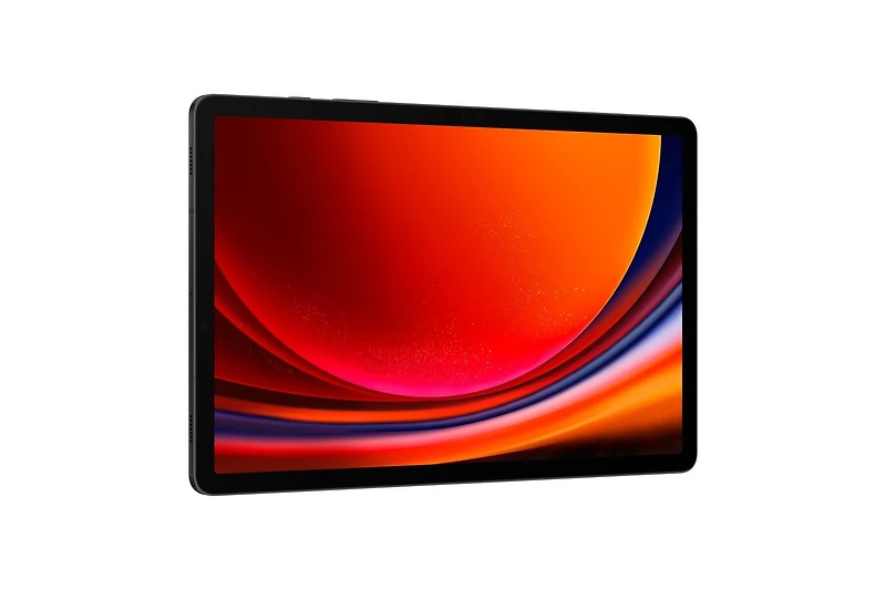 Samsung Galaxy Tab S9 8GB 128GB Gris