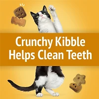 Friskies Party Mix Cheezy Craze Crunch with Real Cheese, Cat Treats, 510 g