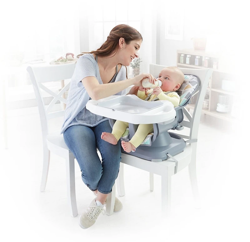 Fisher-Price SpaceSaver High Chair
