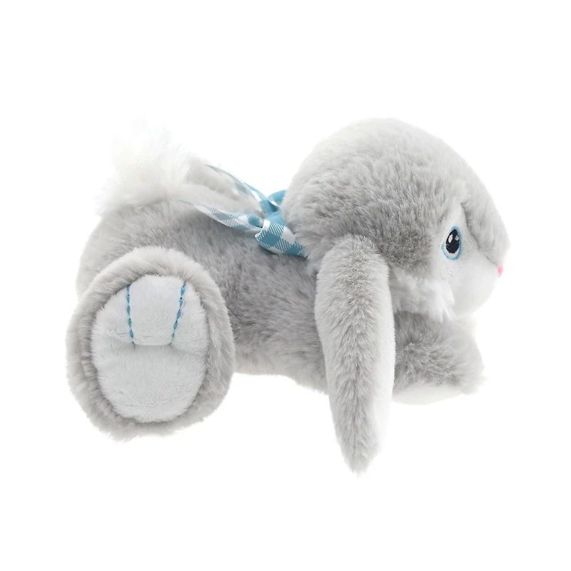 Façon de célébrer le petit hopster heureux, gris