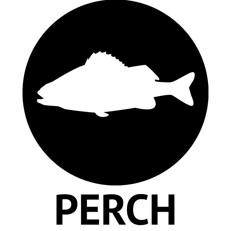 Northland SNJ4-12-99 Sink'N Jig Head, 1/4oz, 2/0 Hook, Assorted, 12/Bag