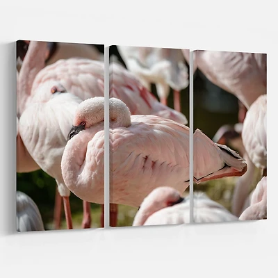 Design Art Pat De Flamants Roses Se Bouchent Art Sur Toile