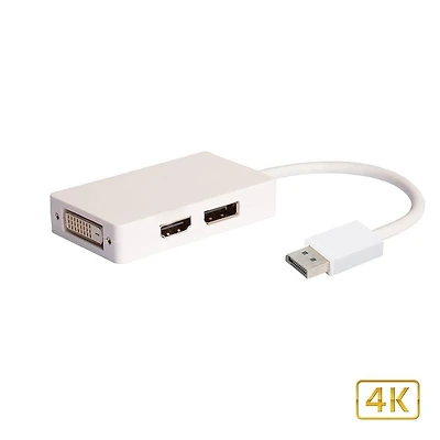 Adaptateur DisplayPort vers DVI / HDMI / DP