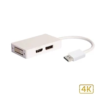 Adaptateur DisplayPort vers DVI / HDMI / DP