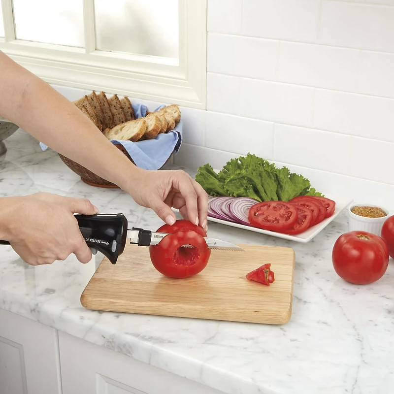 Couteau électrique Hamilton Beach avec lames en acier inoxydable et étui de rangement (74275ZC)