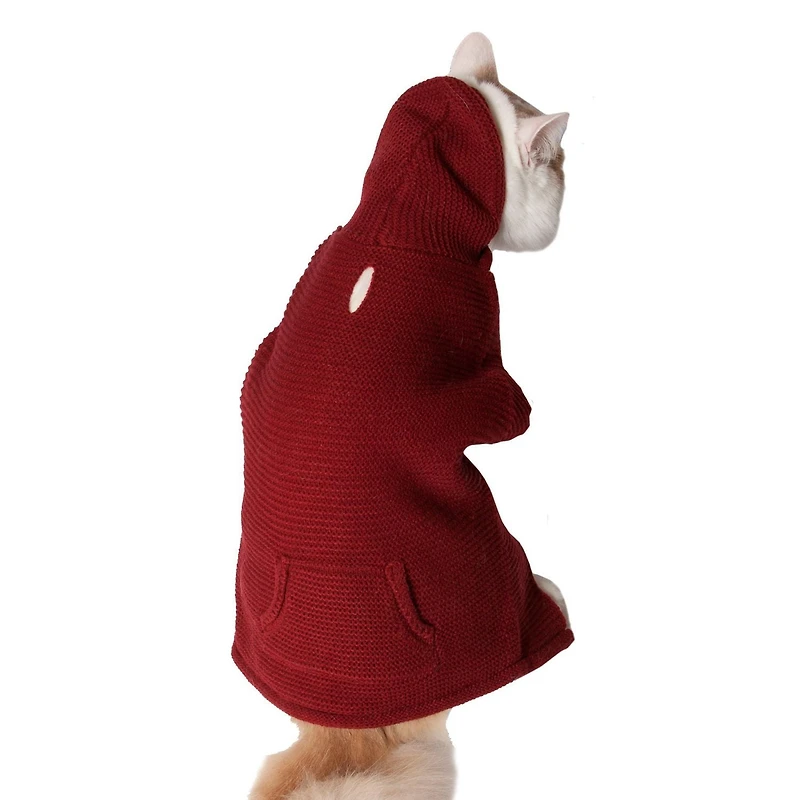 Holiday Time Rhubarb Hoodie with Pocket for Dogs