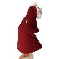 Holiday Time Rhubarb Hoodie with Pocket for Dogs