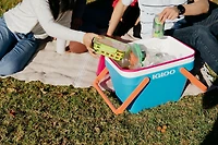 Igloo 25 Quart Picnic Basket Cooler, Cooler