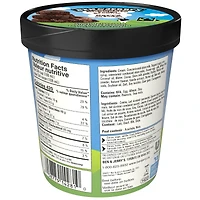 Ben & Jerry's Oh Cone-ada! Ice Cream, 473 mL