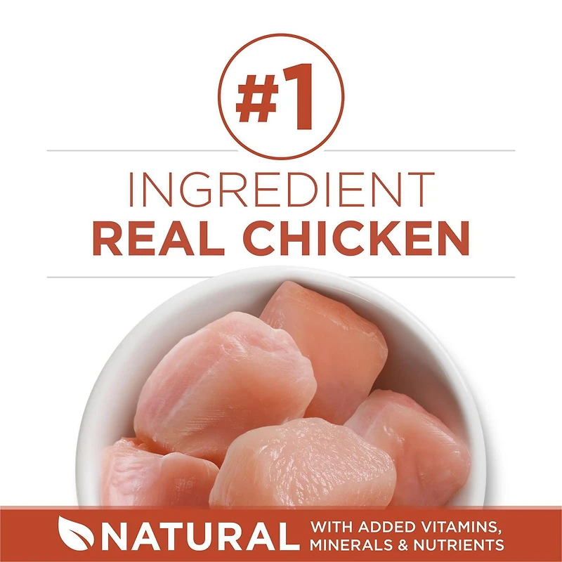 Purina ONE +Plus Riche En Protéines Formule Poulet, Nourriture Sèche pour Chats 1.8 kg 1.8 kg