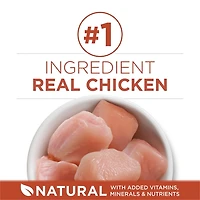 Purina ONE +Plus Riche En Protéines Formule Poulet, Nourriture Sèche pour Chats 1.8 kg 1.8 kg