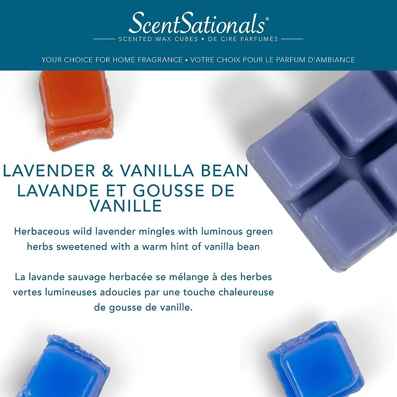 Cubes de cire parfumée ScentSationals - Lavande & Vanille 2,5 fois (70,9 g)