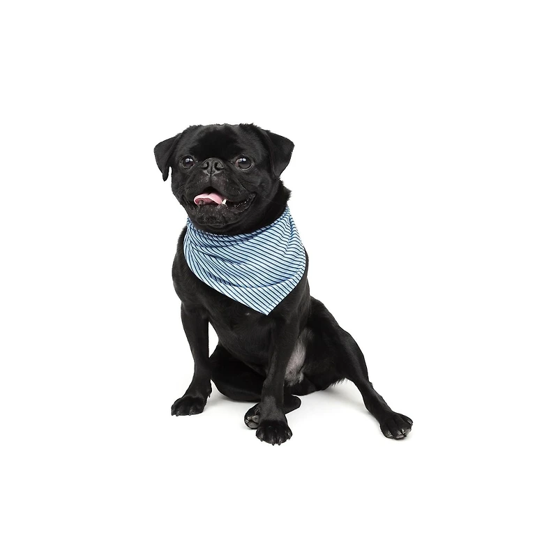 One Paw, Bandana pour Chien, Tissu Doux, Plusieurs Couleurs et Tailles