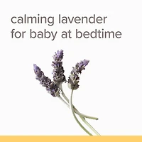 Lotion nourrissante calmante au parfum de lavande de Burt’s Bees® BabyMC,  formule d’origine naturelle à 98,9 %, 170 g