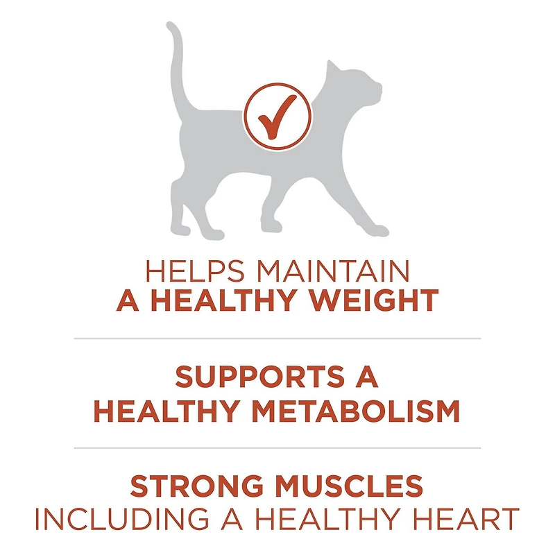 Purina ONE +Plus Riche En Protéines Formule Poulet, Nourriture Sèche pour Chats 1.8 kg 1.8 kg