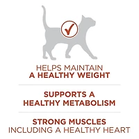 Purina ONE +Plus Riche En Protéines Formule Poulet, Nourriture Sèche pour Chats 1.8 kg 1.8 kg