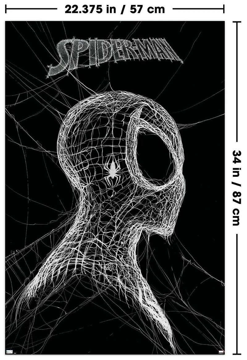 Marvel Spider-Man : Le monde des toiles d'araignée - Noir et blanc