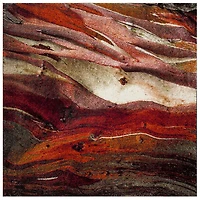 SAFAVIEH Glacier Aleesha Tapis Abstrait