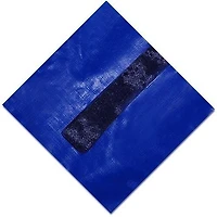 Blue Wave Couverture hivernale pour piscine creusée - rectangulaire, garantie de 15 ans