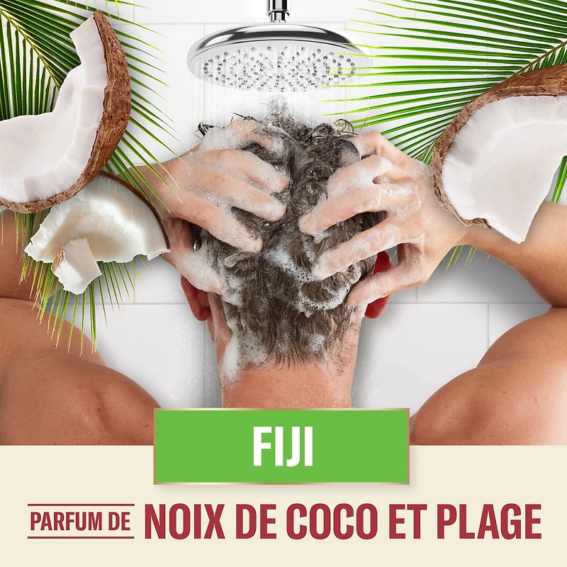 Shampooing Old Spice Fiji pour hommes NG, PWheel