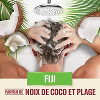 Shampooing Old Spice Fiji pour hommes NG, PWheel