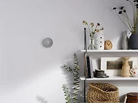 Thermostat Google Nest Charbon