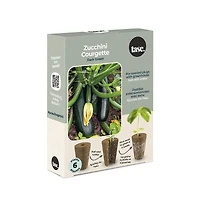 TASC GRED PLIGS - Zucchini-Green (6 / PKG)