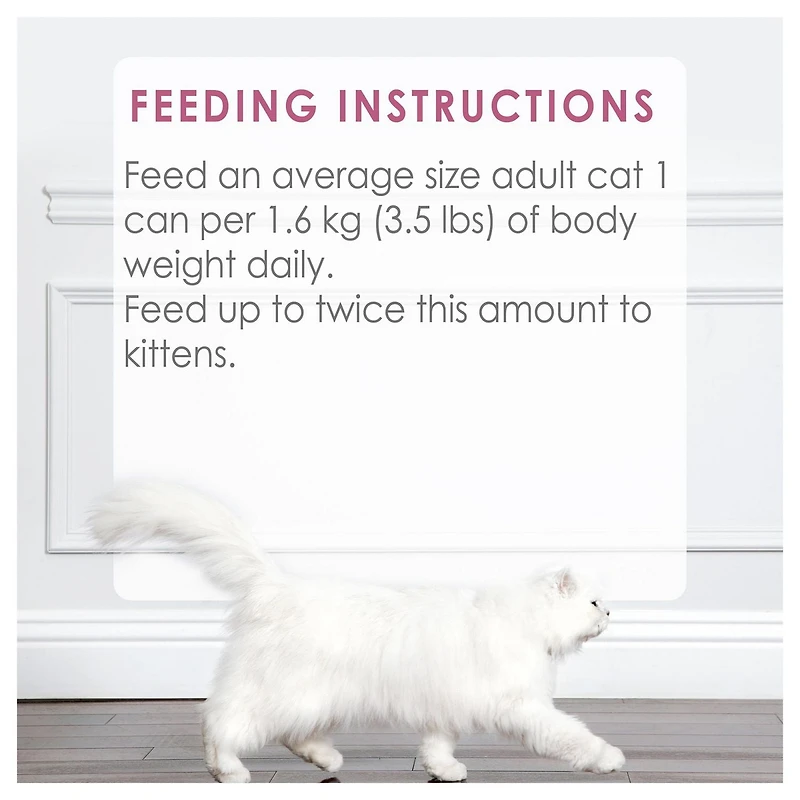 Fancy Feast Medleys Plat de Saumon Sauvage en Lanières dans une Sauce Savoureuse, Nourriture Humide pour Chats 85 g 85 g