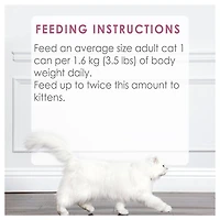 Fancy Feast Medleys Plat de Saumon Sauvage en Lanières dans une Sauce Savoureuse, Nourriture Humide pour Chats 85 g 85 g