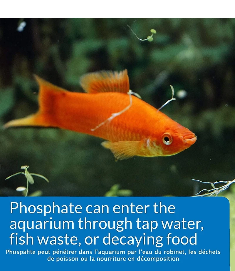 Trousse d’essai de l’aquarium phosphaté API