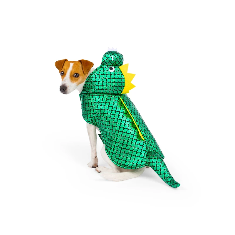 Costume de dinosaure pour chien One Paw