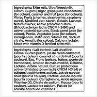 Activia Yogourt probiotique, sans lactose, saveur vanille / fraise / framboise / cerise, (emballage de 12) 12 x 100 g