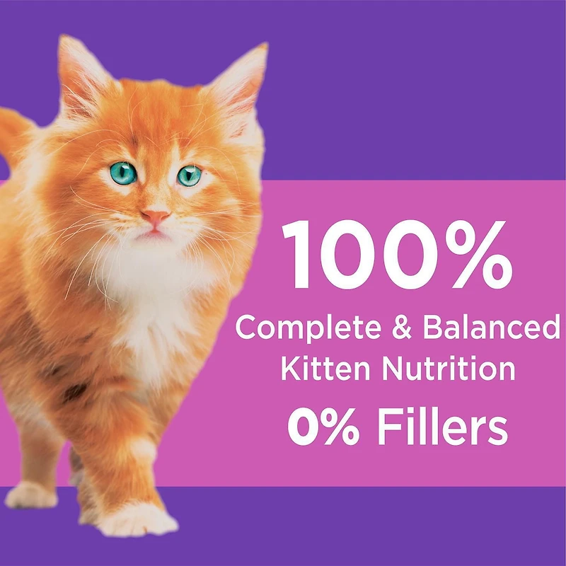 Iams Proactive Health Healthy Kitten with Chicken Dry Cat Food, 1.59kg