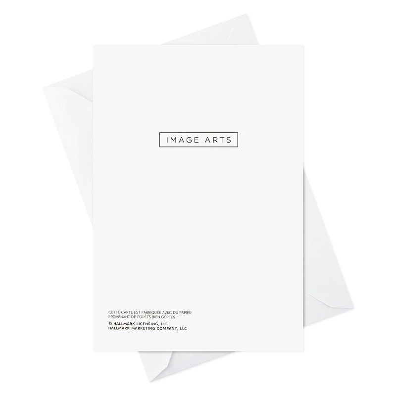 Boîte de 18 cartes de Noël Image Arts (Sapin doré décoré)