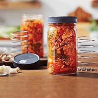 Ball Fermentation Replacement Kit