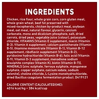 Purina ONE SmartBlend Digestive Health Formula Chicken, Dry Dog Food, 5.4-9.5 kg