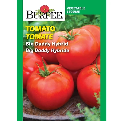 Burpee Big Daddy Hybrid Tomato, Plant Seeds for Home Garden