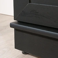 Sauder HomePlus Storage Cabinet