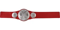 Amène à la maison la marque d’honneur suprême avec la Ceinture de Championnat WWE!