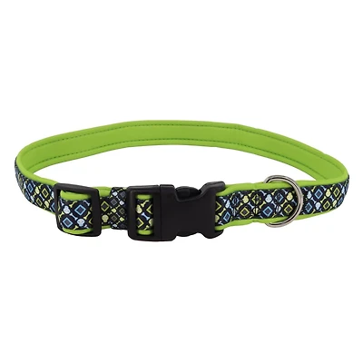 Collier pour chien Pet Attire By Coastal en néoprène avec superposition de crânes de chaux noire, 1" x 18-26" 1" x 18-26"