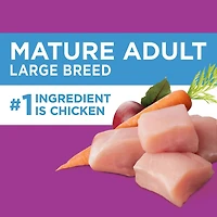 Iams Mature Adult Large Breed with Chicken & Whole Grains Recipe Dry Dog Food