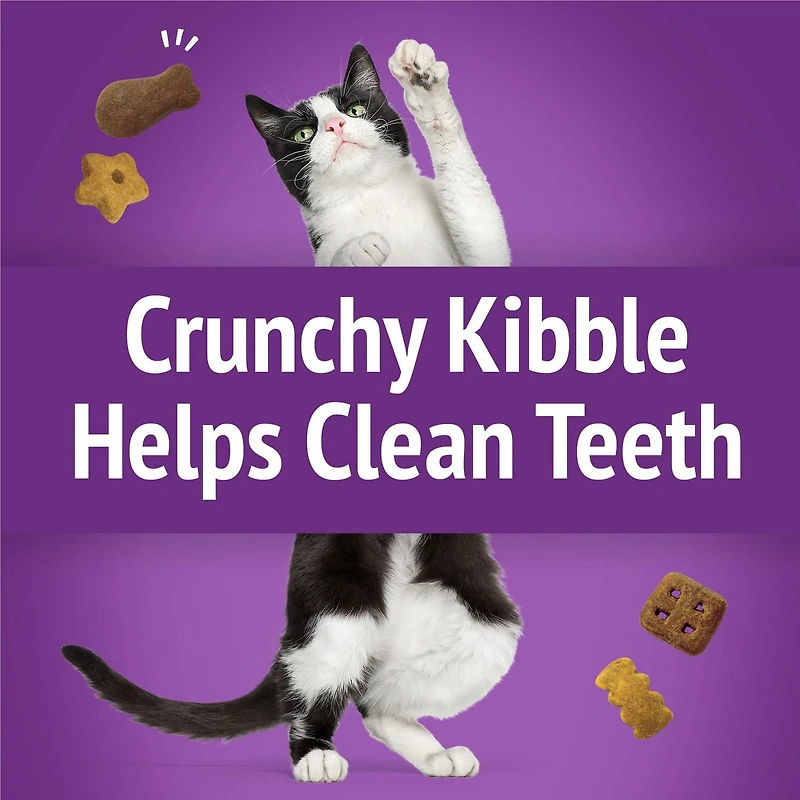 Friskies Party Mix Kahuna Crunch, Cat Treats 170g, 170 g