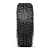 Radar  225/50R17 98V Dimax Alpine Winter Tire