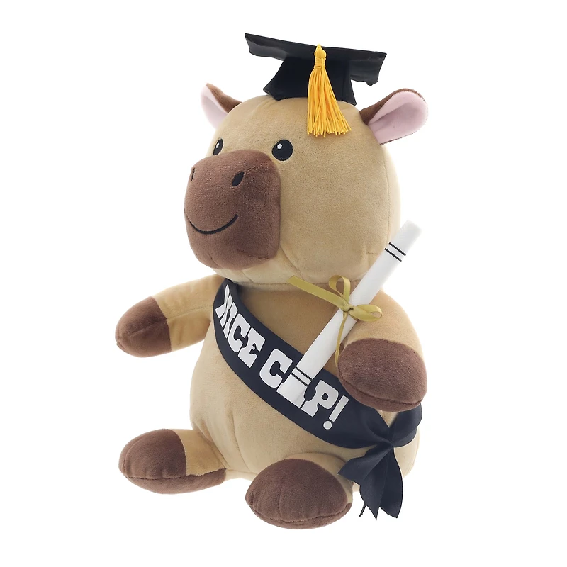 Peluche capybara de la promotion 2026, en coffret cadeau, par Way to Celebrate