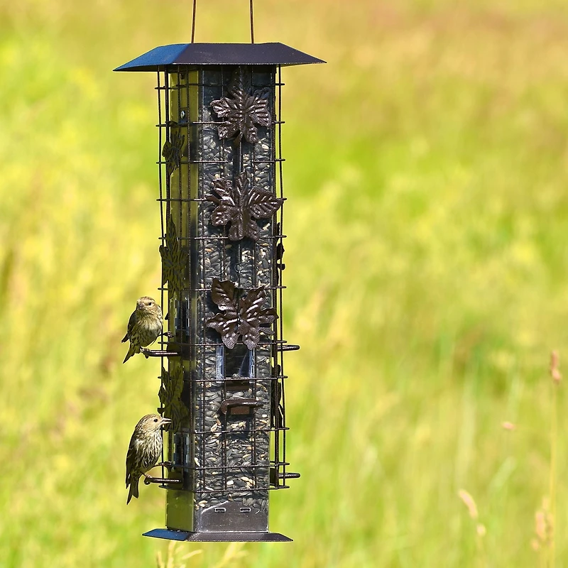 Mangeoire d'oiseaux Squirrel-Be-Gone de Perky-Pet