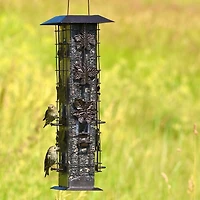 Mangeoire d'oiseaux Squirrel-Be-Gone de Perky-Pet