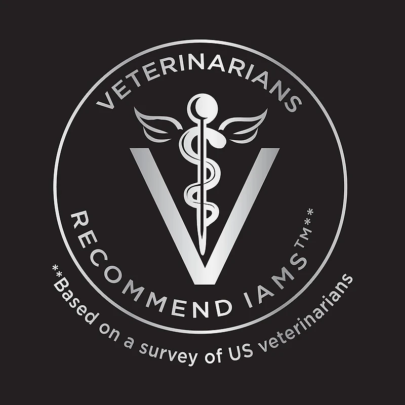 Nourriture sèche pour chiens adultes IAMS ADVANCED HEALTH PEAU ET PELAGE recette avec poulet et saumon 2,72-12,2 kg