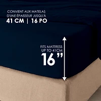 hometrends 300 TC Brushed Percale Fitted Sheet, HOME TRENDS PL HT 300TC FITT BLK Q